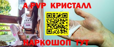 индика Тула
