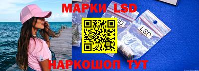 индика Тула