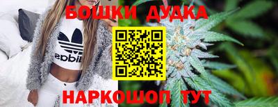 PSILOCYBIN Туймазы