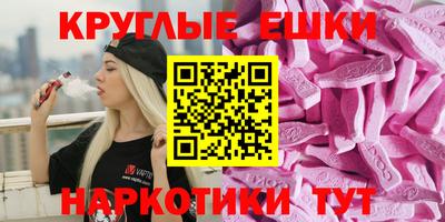 индика Тула