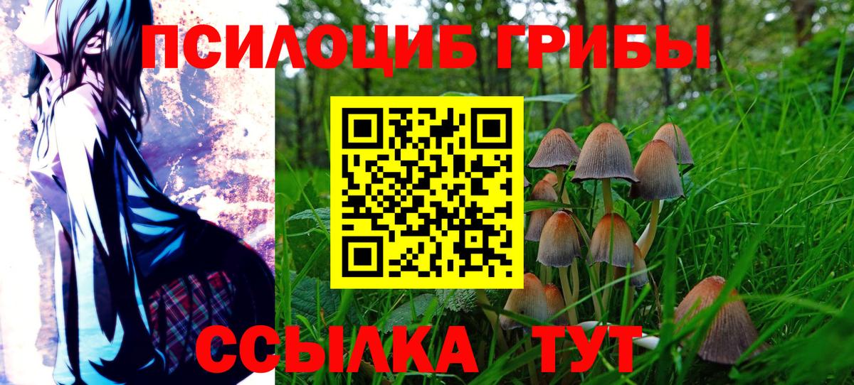 Новочебоксарск  Галлюциногенные грибы Psilocybine cubensis  Вход с VPN 